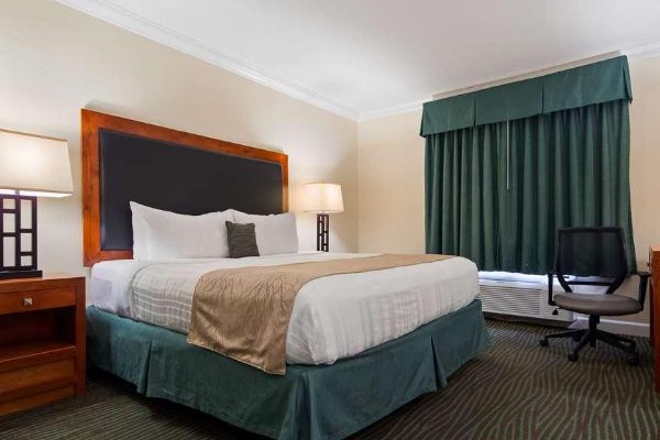 Hotel BEST WESTERN PLUS EAGLE LODGE (Eagle)